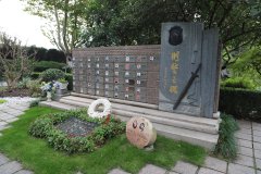 致敬“平安卫士”，铭记“刑警之魂”